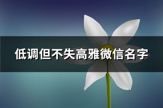 低調但不失高雅微信名字(412個)