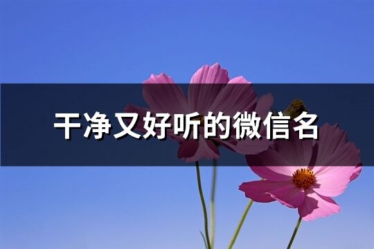 干凈又好聽的微信名(865個)