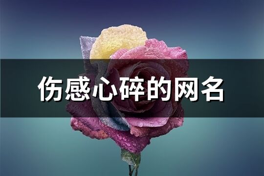傷感心碎的網名(優選433個)