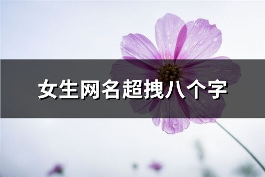 女生網(wǎng)名超拽八個(gè)字(優(yōu)選311個(gè))