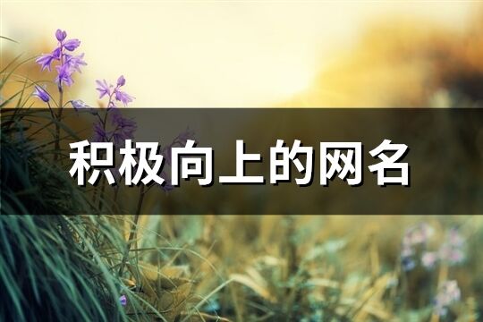 積極向上的網(wǎng)名(精選213個)
