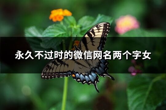永久不過時的微信網(wǎng)名兩個字女(優(yōu)選587個)