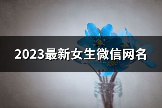 2023最新女生微信網名(972個)