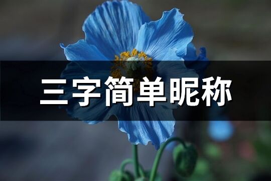 三字簡單昵稱(精選819個)