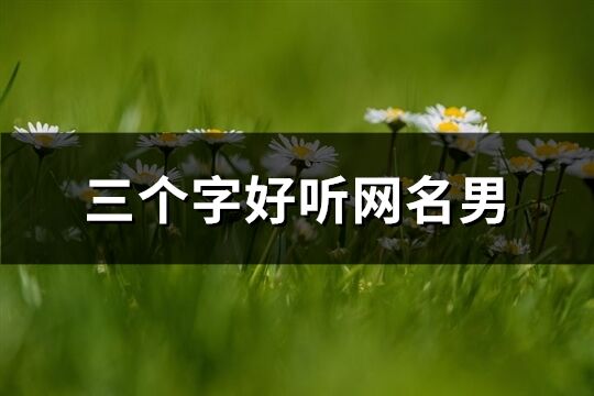 三個字好聽網名男(共222個)