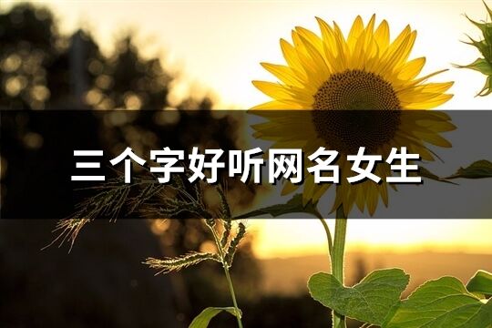 三個字好聽網名女生(精選361個)