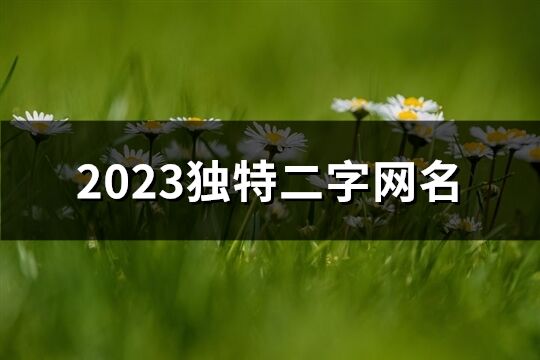 2023獨特二字網名(精選1517個)