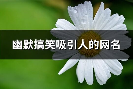 幽默搞笑吸引人的網名(共119個)