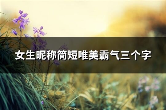 女生昵稱簡短唯美霸氣三個字(317個)