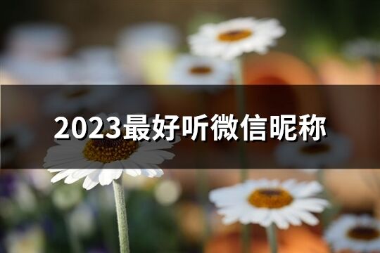 2023最好聽微信昵稱(優(yōu)選675個)