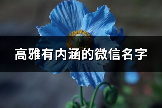 高雅有內涵的微信名字(優選340個)