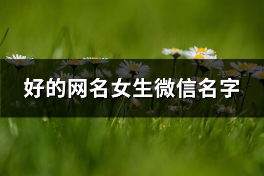 好的網(wǎng)名女生微信名字(350個)