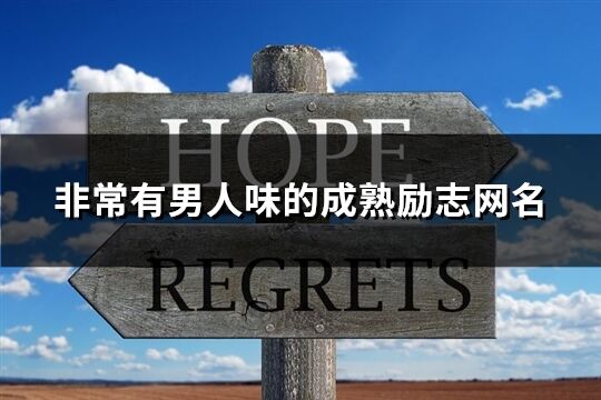 非常有男人味的成熟勵志網名(共255個)