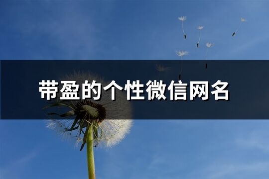 帶盈的個性微信網名(67個)