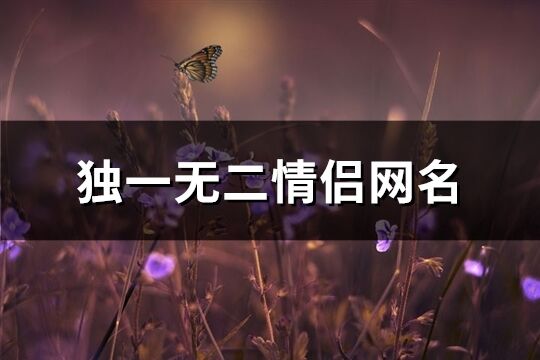 獨一無二情侶網名(171個)