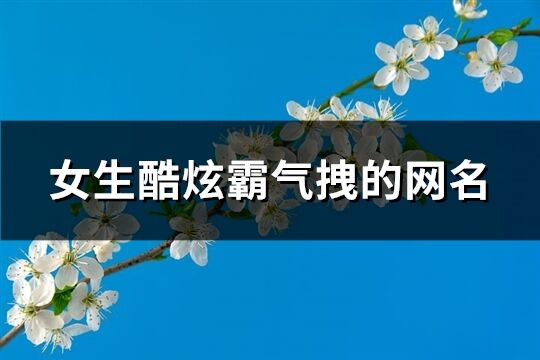 女生酷炫霸氣拽的網名(共118個)