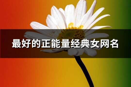 最好的正能量經典女網名(共335個)