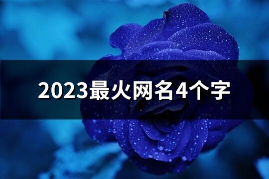 2023最火網(wǎng)名4個字(精選59個)