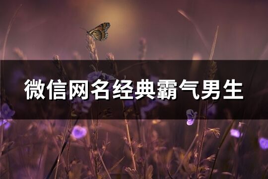 微信網名經典霸氣男生(共366個)