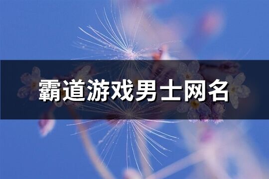 霸道游戲男士網名(優(yōu)選687個)