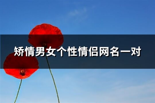 矯情男女個(gè)性情侶網(wǎng)名一對(duì)(優(yōu)選112個(gè))