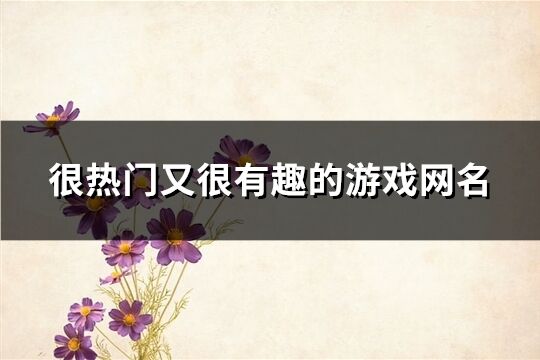 很熱門又很有趣的游戲網名(346個)