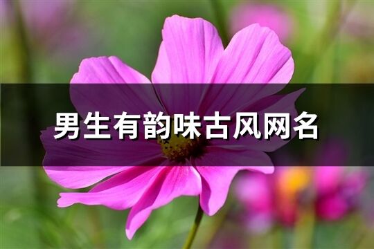 男生有韻味古風(fēng)網(wǎng)名(優(yōu)選386個(gè))