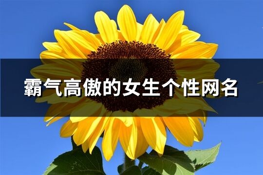 霸氣高傲的女生個性網名(優選134個)