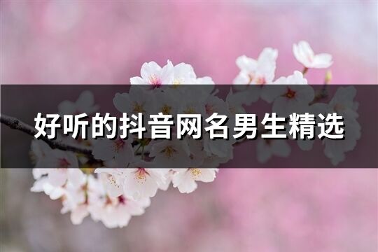 好聽的抖音網(wǎng)名男生精選(優(yōu)選621個(gè))