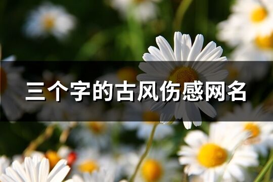三個字的古風傷感網(wǎng)名(378個)