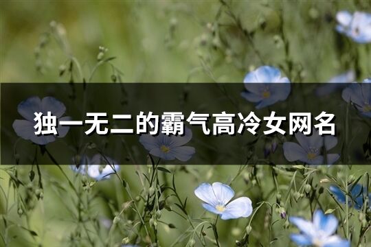獨一無二的霸氣高冷女網名(精選307個)