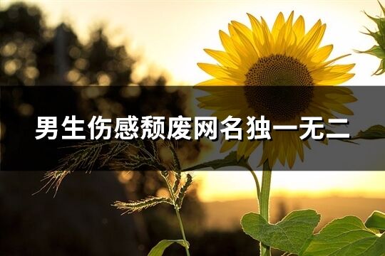 男生傷感頹廢網名獨一無二(共60個)