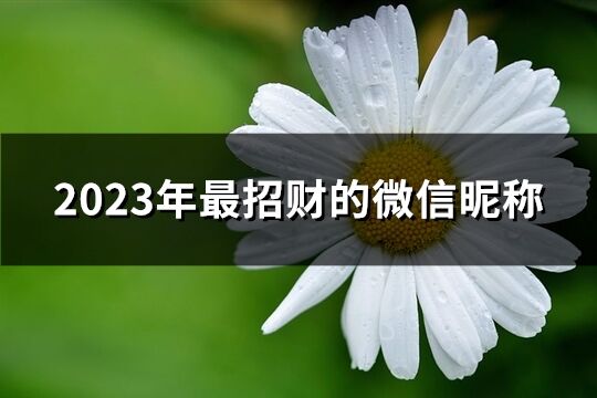 2023年最招財?shù)奈⑿抨欠Q(795個)