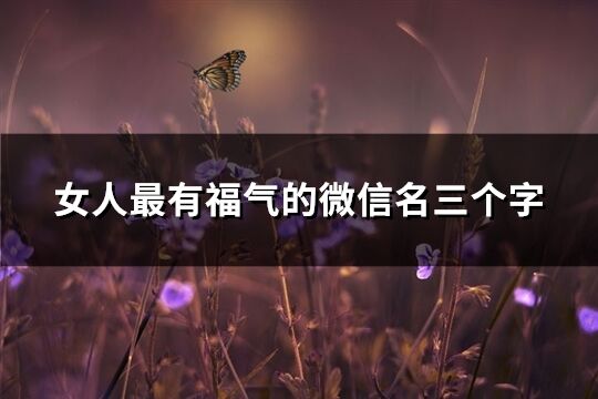 女人最有福氣的微信名三個字(401個)