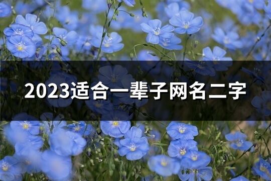2023適合一輩子網(wǎng)名二字(優(yōu)選643個)