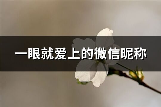 一眼就愛上的微信昵稱(共392個)
