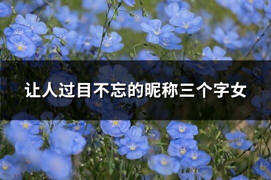 讓人過目不忘的昵稱三個(gè)字女(精選484個(gè))