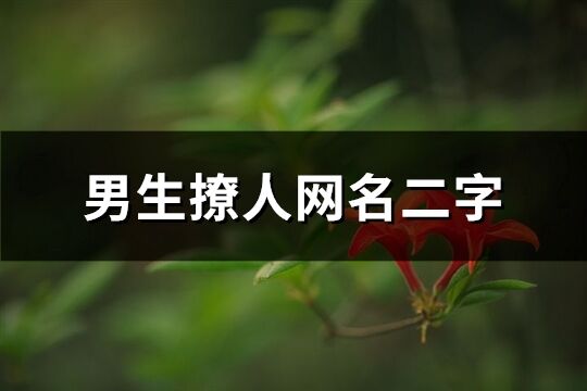男生撩人網(wǎng)名二字(優(yōu)選169個)