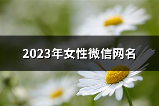2023年女性微信網名(共943個)