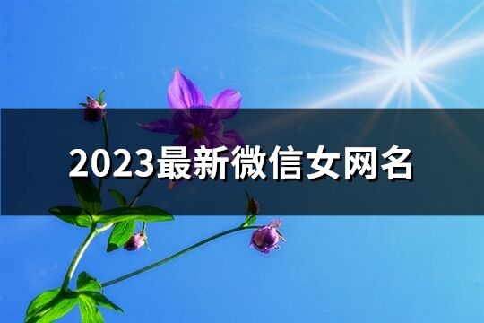 2023最新微信女網名(精選861個)