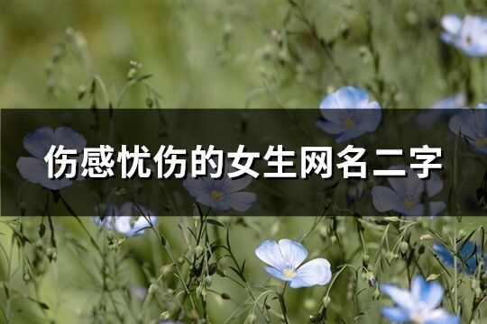 傷感憂傷的女生網名二字(共368個)