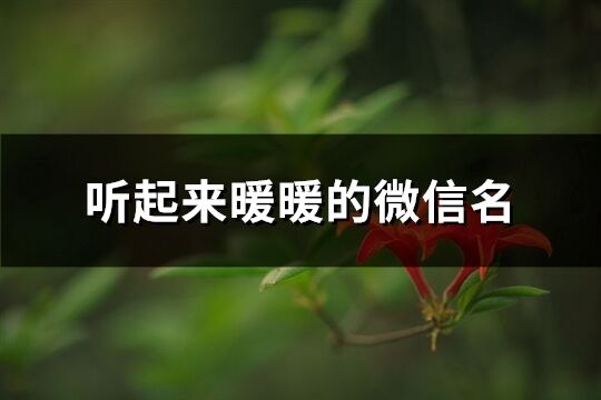聽起來暖暖的微信名(精選216個)