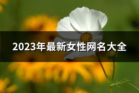 2023年最新女性網名大全(精選1380個)