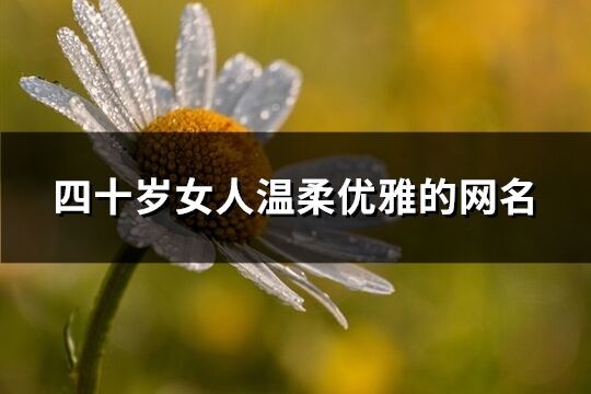 四十歲女人溫柔優雅的網名(1583個)