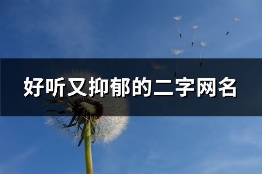 好聽又抑郁的二字網名(413個)