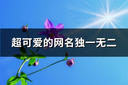 超可愛的網(wǎng)名獨一無二(精選265個)