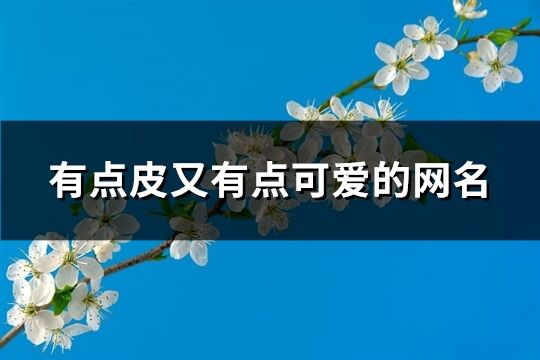 有點皮又有點可愛的網名(優選364個)
