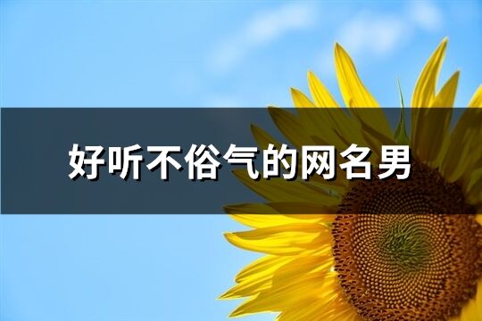 好聽不俗氣的網名男(優選282個)