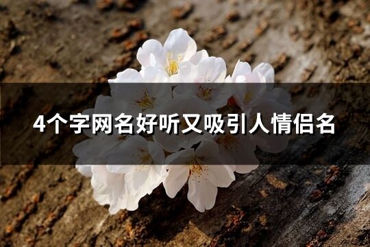 4個字網名好聽又吸引人情侶名(468個)