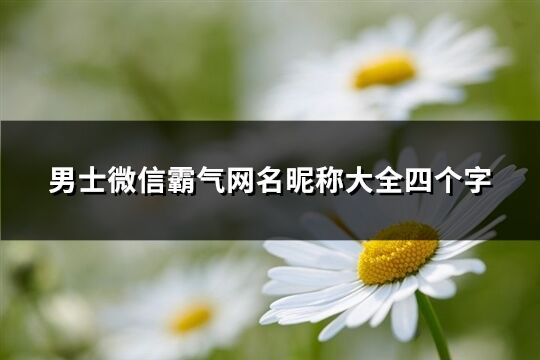 男士微信霸氣網名昵稱大全四個字(共589個)